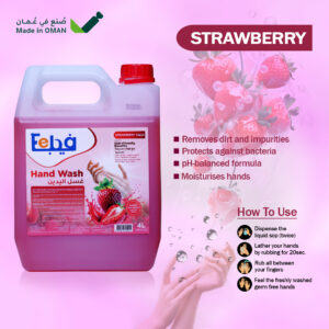 Feba Hand Wash – Strawberry (4L)