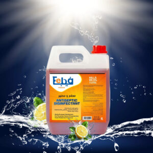 feba antiseptic disinfectant