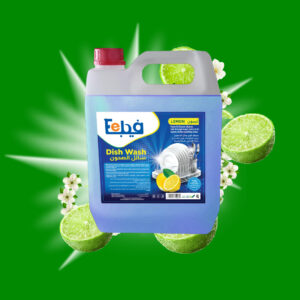 feba dish wash